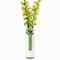 Cylindrical Transparent Glass Vase Perfect for Flowers and Decorative Fillers
